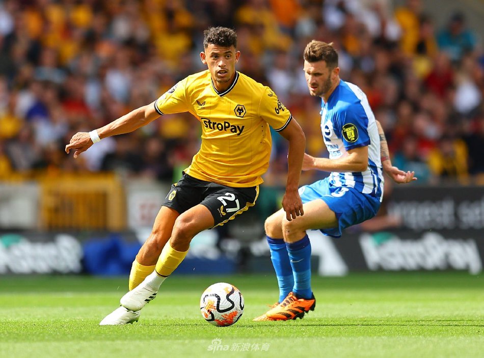 网球市场保 网球市场保